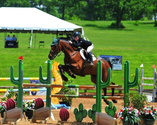 Texas Rose Horse Park 4