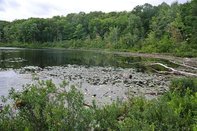 Lake Ann Pathway2