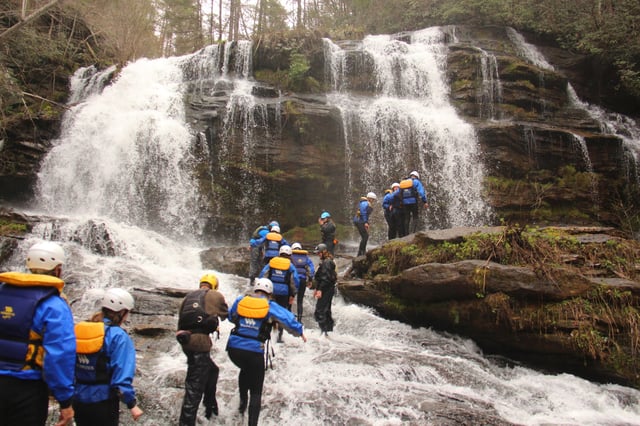 Wildwater Ltd. 5