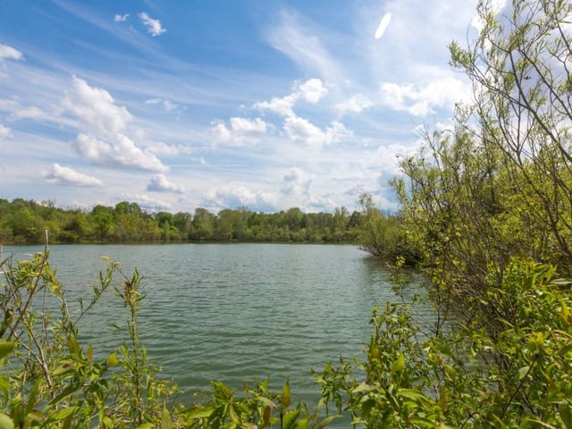 Hawthorn Pond Natural Area10