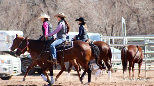 Horseshoe Park & Equestrian Centre 6