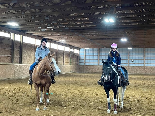 Equine Differences 8