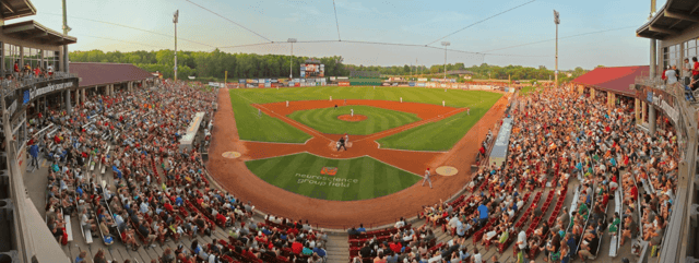 Neuroscience Group 1