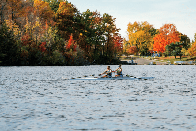 rowingfl5.png