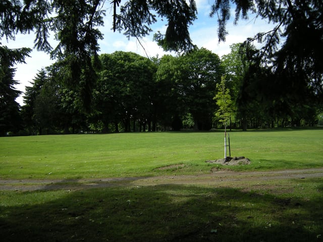 Foster_Memorial_Park_Attraction_Tukwila (3).jpg