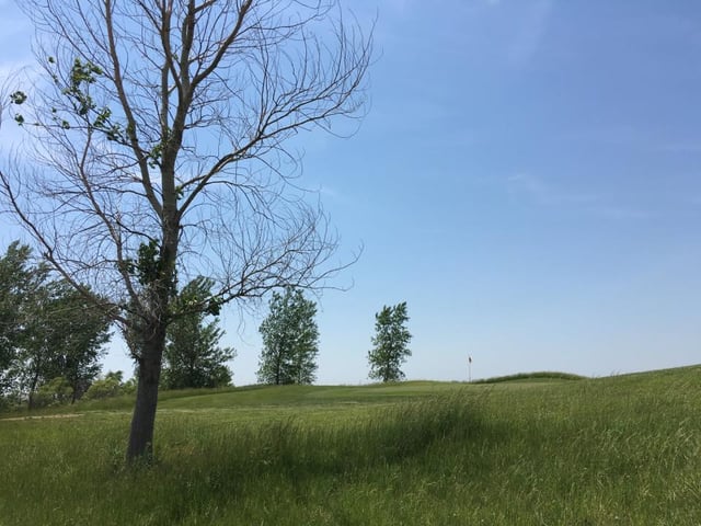 Old Dane Golf Club