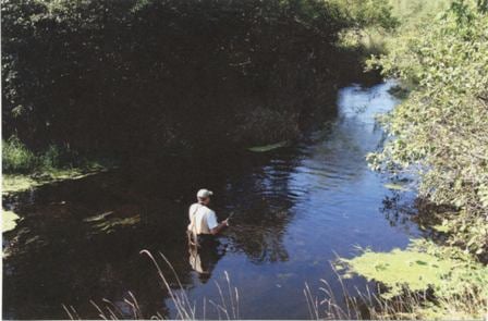 Fishing on Lake Wissota (2).jpg