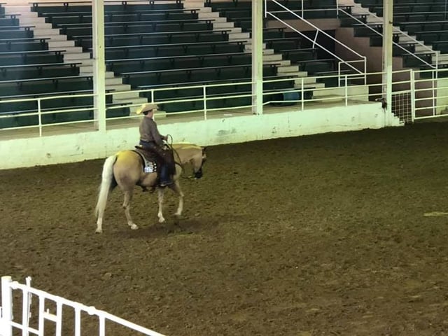 Salina County Livestock and Expo Center2