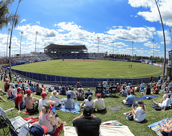 Clover park mets