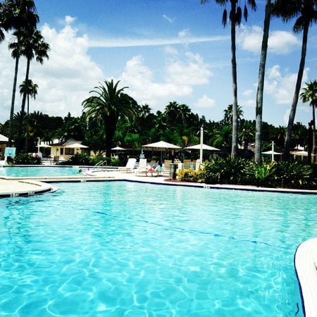 Saddlebrook Resort 3