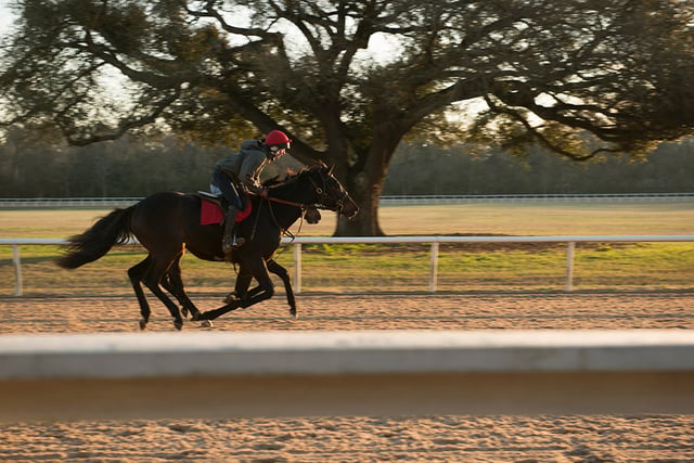 Aiken Training Track5
