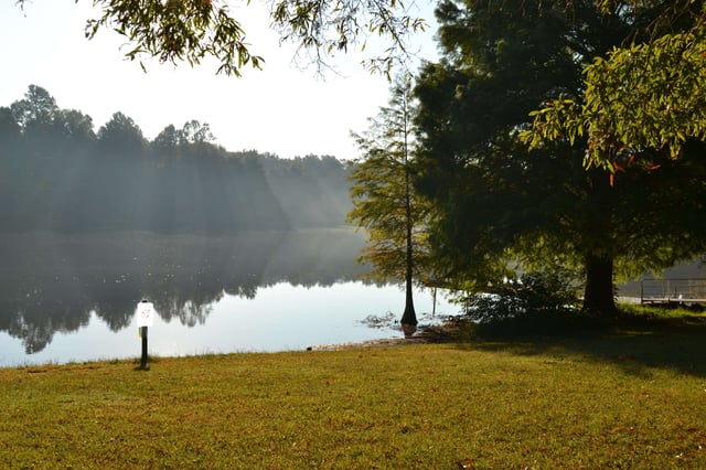 AnyConv.com__Hagan 5 (1)