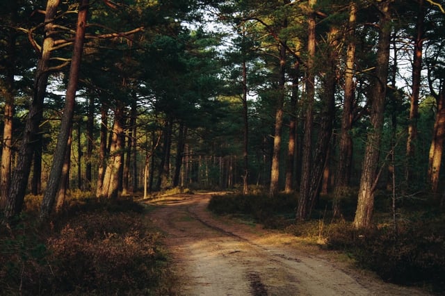 Hill 3