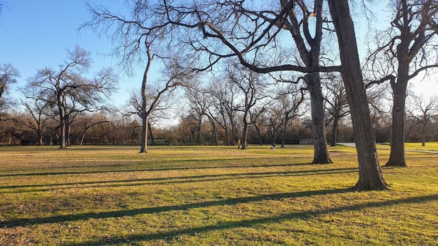 Harry S. Moss Park3