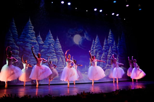 Tamara Howe School of Dance8