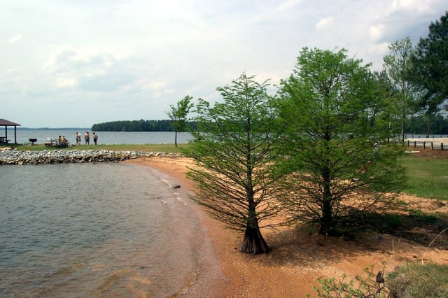 Lake Monticello6