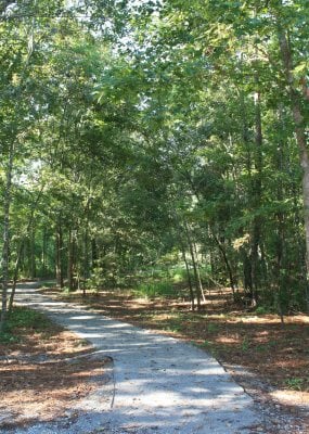 walkingpath.jpg
