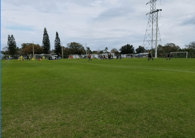 Screen Shot 2020-06-20 at 8.18.35 PM