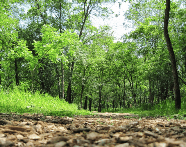 prairiewoods franciscan spirituality center 4