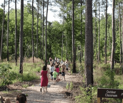 Screen Shot 2024-11-27 at 12.32.02 PM.png