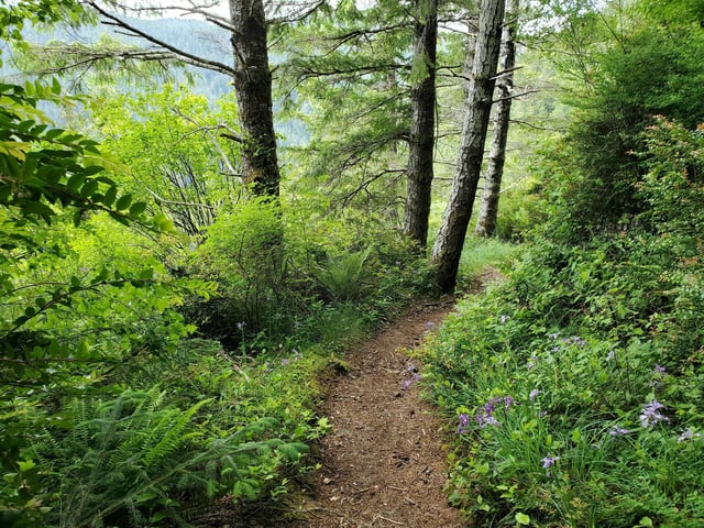 Cummins Creek Trail4