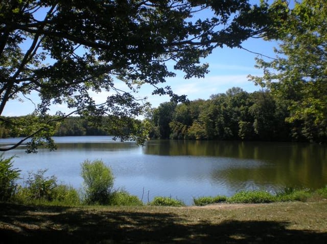 east fork lake