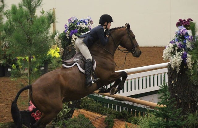 Extraco Events Center3