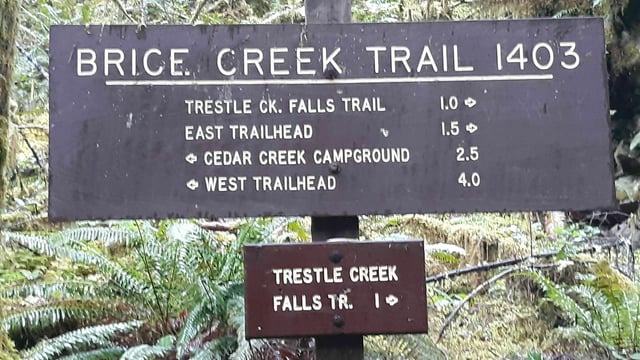 Umpqua National Forest2