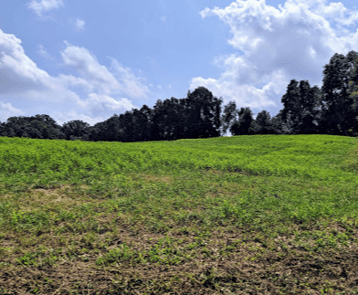 White Clay Creek State Park 2