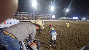 Corn Palace Stampede chute.jpg