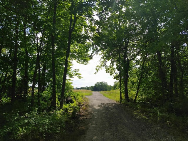 McLean-Teddy Bear Park3