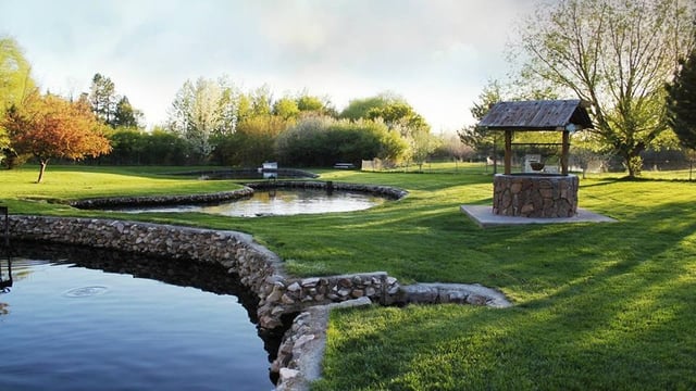 Cold Springs Trout Farm