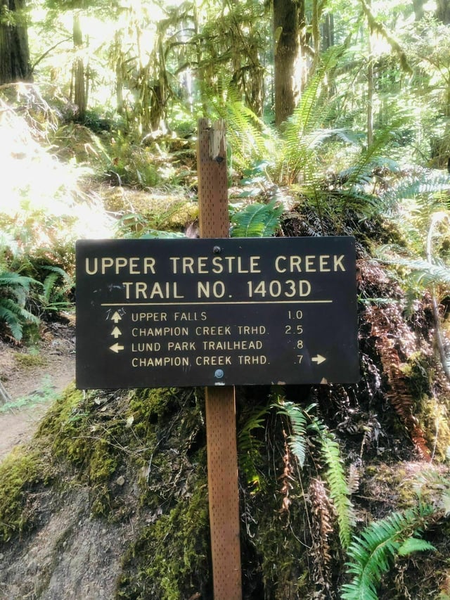 Umpqua National Forest6
