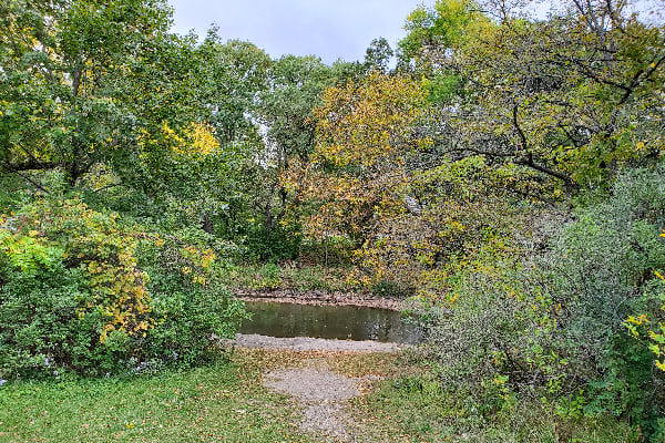 parkers woods