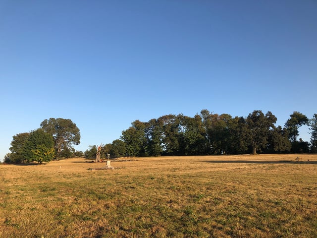 Stewart Pond Disc Golf 6