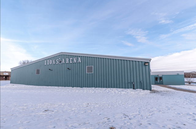 Lions Arena 4