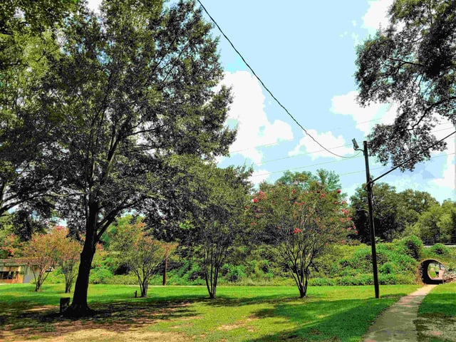 Mineral Springs Park and Walking Trail2 (2)