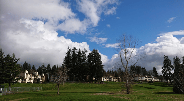 Screen Shot 2021-07-23 at 12.33.23 PM