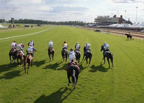 Colonial horses