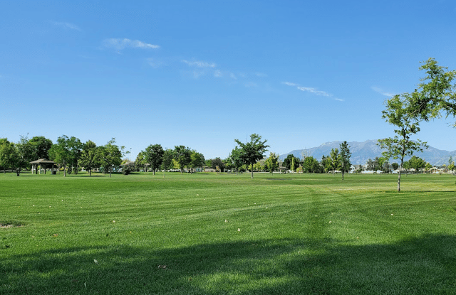 Screen Shot 2024-09-30 at 3.42.25 PM.png