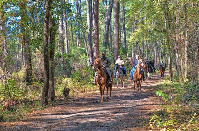 Hitchcock Woods 2