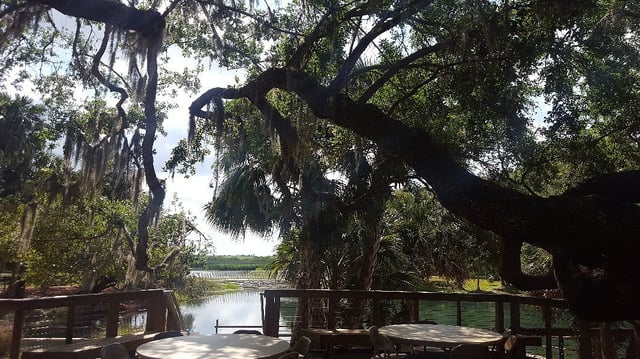 Gemini Springs Park7