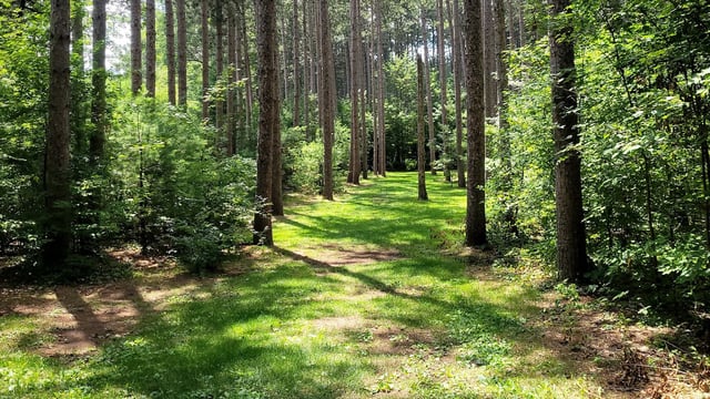 Yulga Park 1