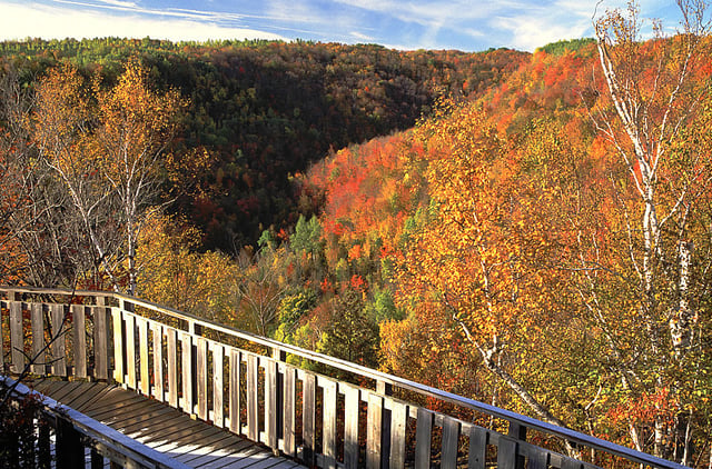 Devils Glen Park3