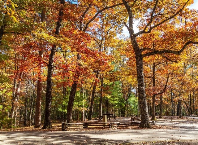 Oconee State Park9