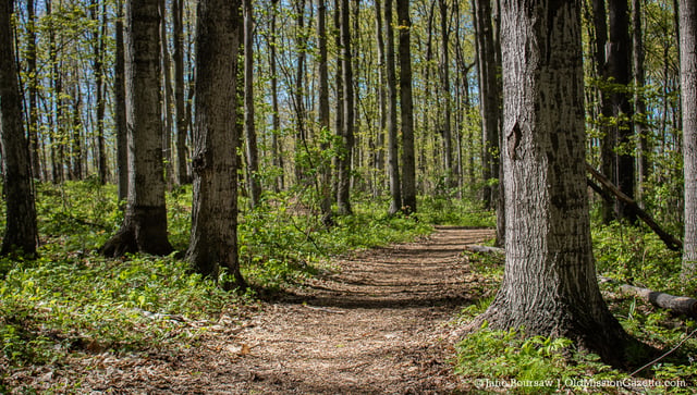 Old Mission Peninsula Park2