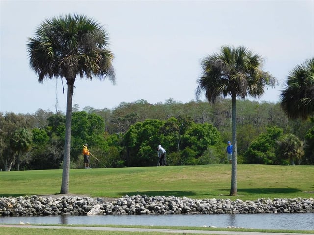 Tarpon Springs Golf Course 2