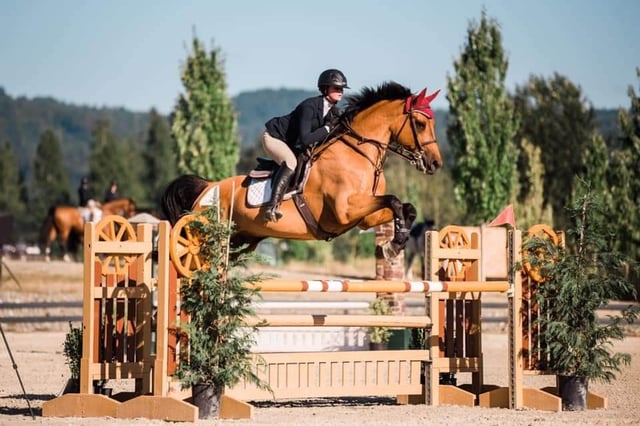 Meadow Wood Equestrian Center2