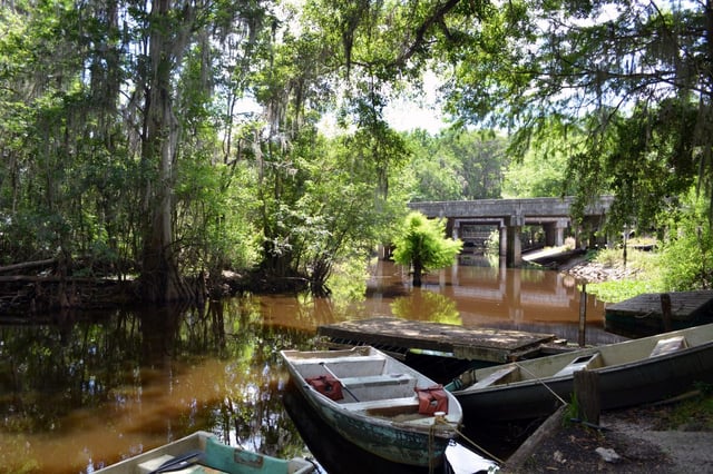 Newnans Lake 1