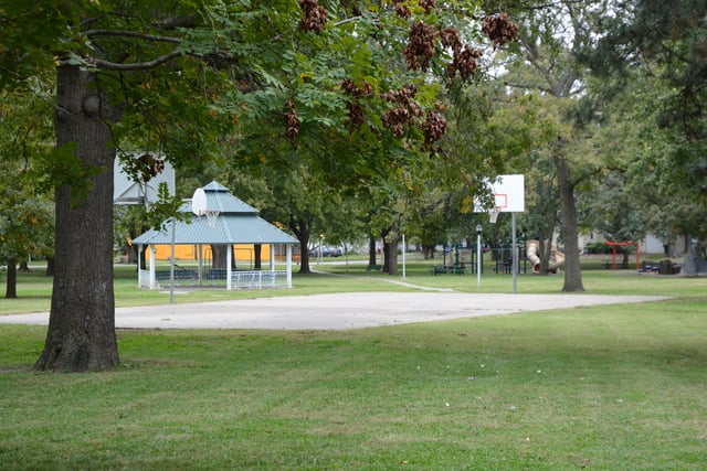 Path (1) (1)